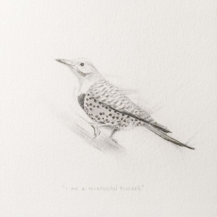 My One Year Commitment