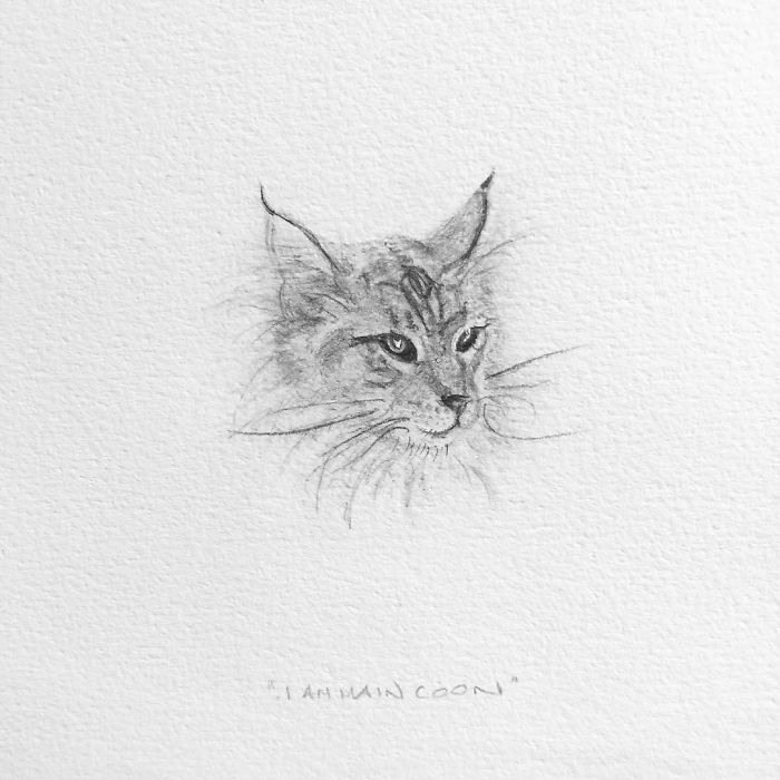 My One Year Commitment