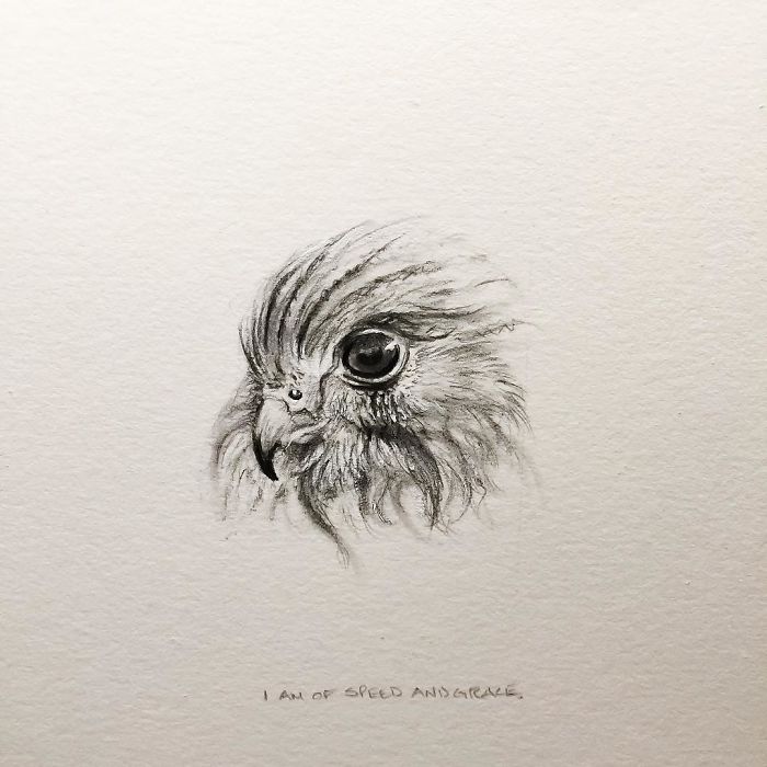 My One Year Commitment