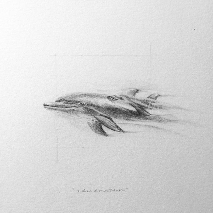 My One Year Commitment