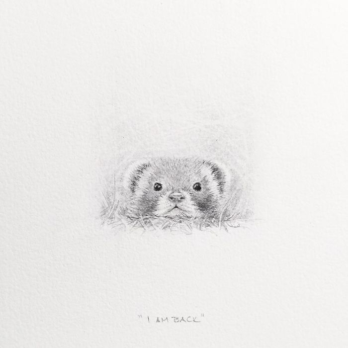 My One Year Commitment