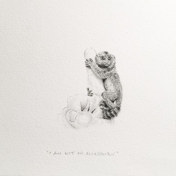 My One Year Commitment