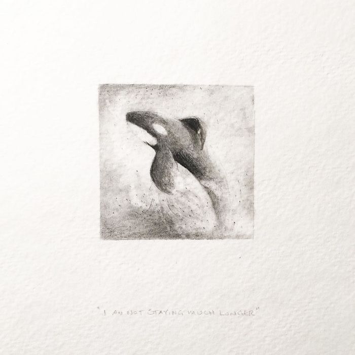 My One Year Commitment