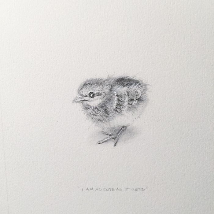 My One Year Commitment