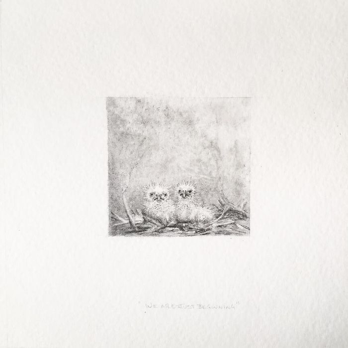 My One Year Commitment