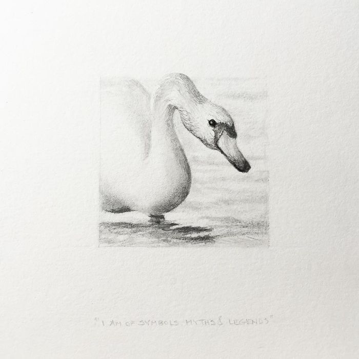 My One Year Commitment