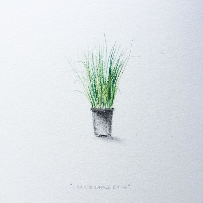 My One Year Commitment