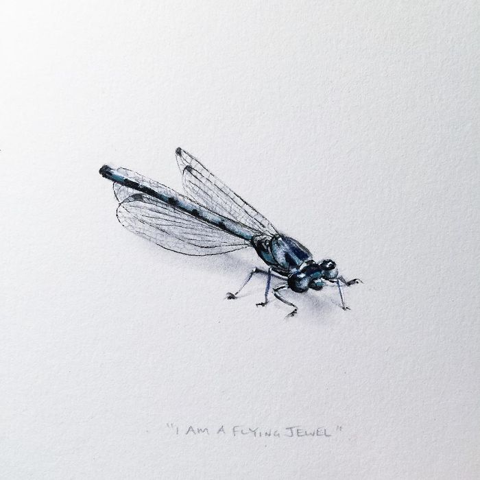 My One Year Commitment