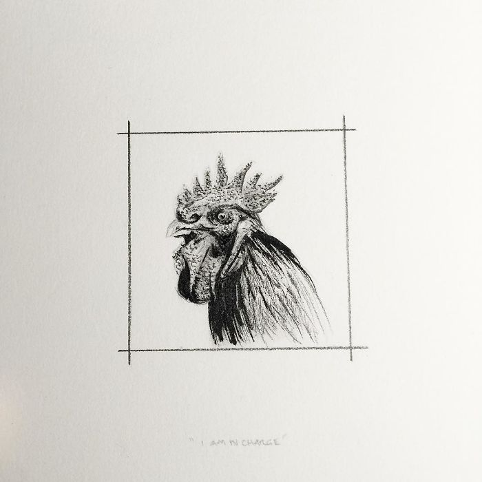 My One Year Commitment