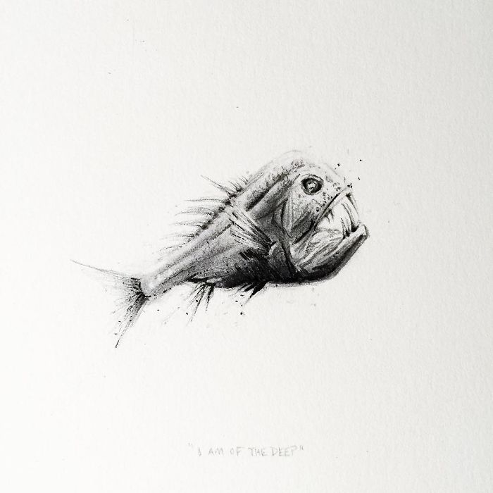 My One Year Commitment