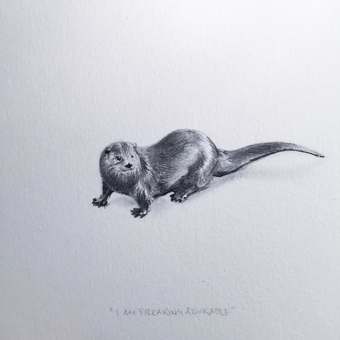 My One Year Commitment