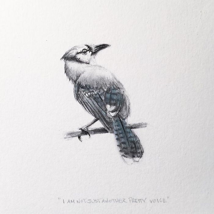 My One Year Commitment