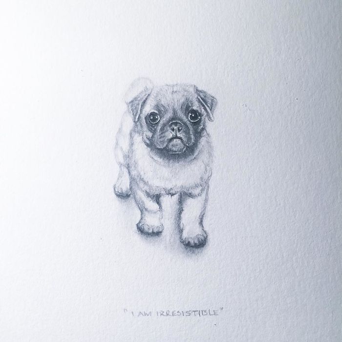 My One Year Commitment