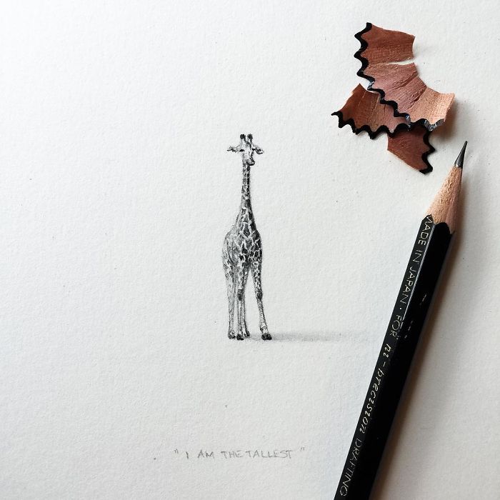 My One Year Commitment