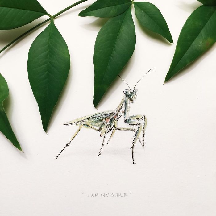 My One Year Commitment