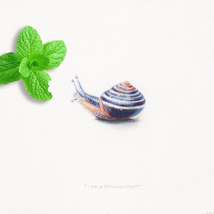 My One Year Commitment