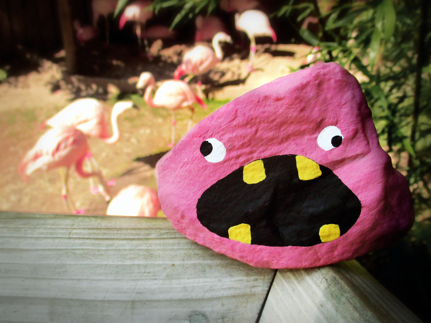 My Kids And I Spent A Year Painting Over 1,000 Rocks And Hid Them For People To Spot And Photograph