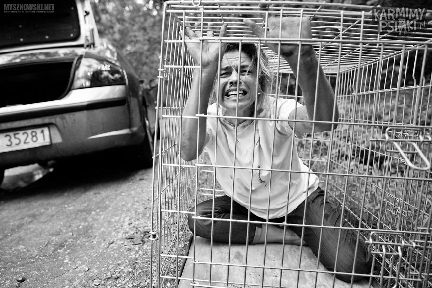 Polish Charity Launched A Social Campaign Aimed To Fight Against Pets’ Abandonment Polish Charity Launched A Social Campaign Aimed To Fight Against Pets’ Abandonment