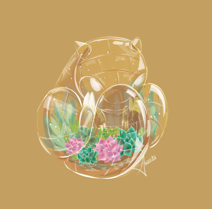 I Draw Pokemon As Terrariums I Draw Pokemon As Terrariums
