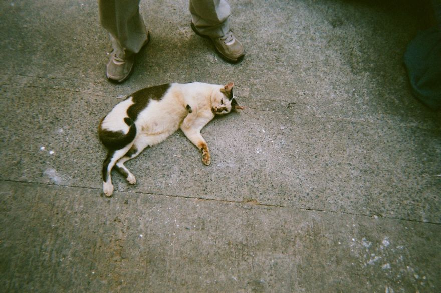 A Photo Project Shows Hong Kong Through The Lens Of Homelessness