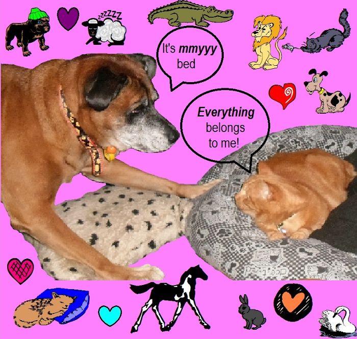 Pepper & Sandy Edited