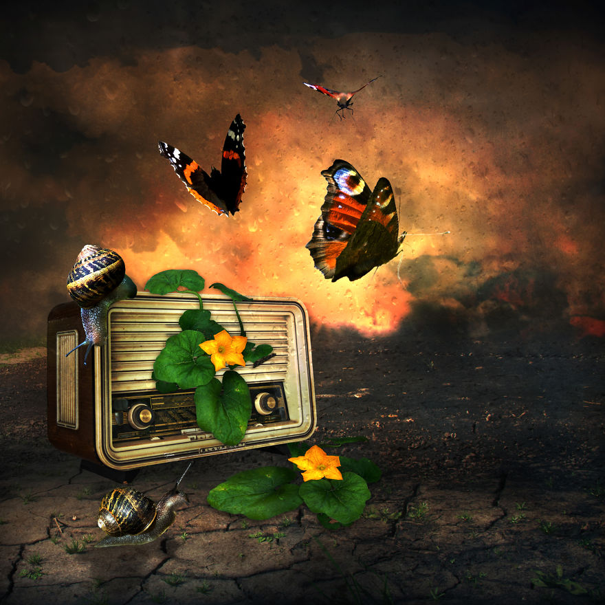 Surreal Photography By Alice Van Der Sluis Surreal Photography By Alice Van Der Sluis