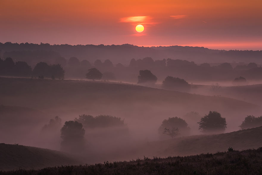 Why You Should Visit My Homeland The Netherlands In August - A Purple Dream Why You Should Visit My Homeland The Netherlands In August - A Purple Dream