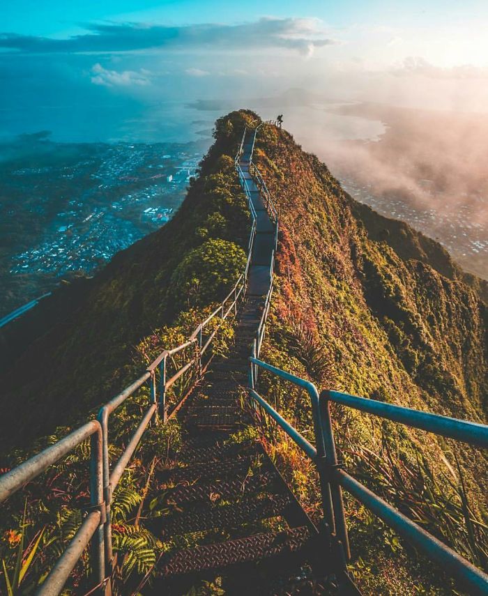 Your reality is the only reality