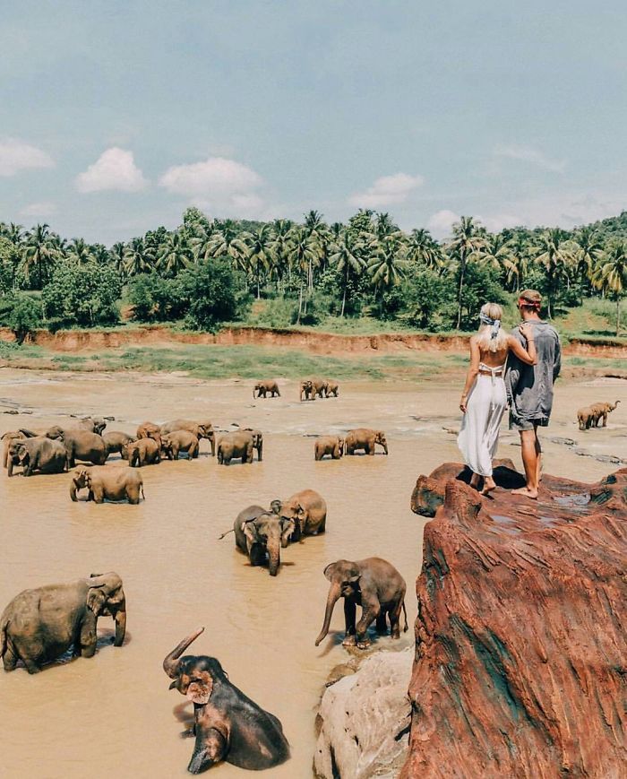 The View From Just Outside Our Hotel In Pinnawala