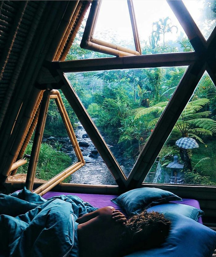 Peaceful Jungle Hideaway Ft Willows Sleepy Locks