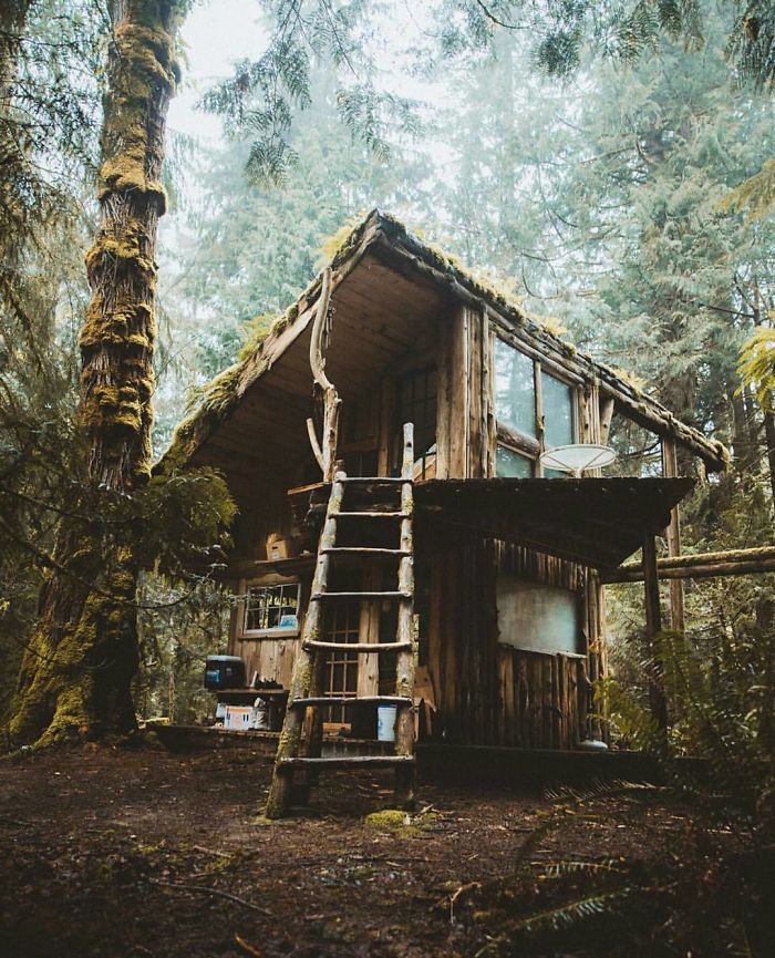 Perfection And I'm Not Even Exaggerating