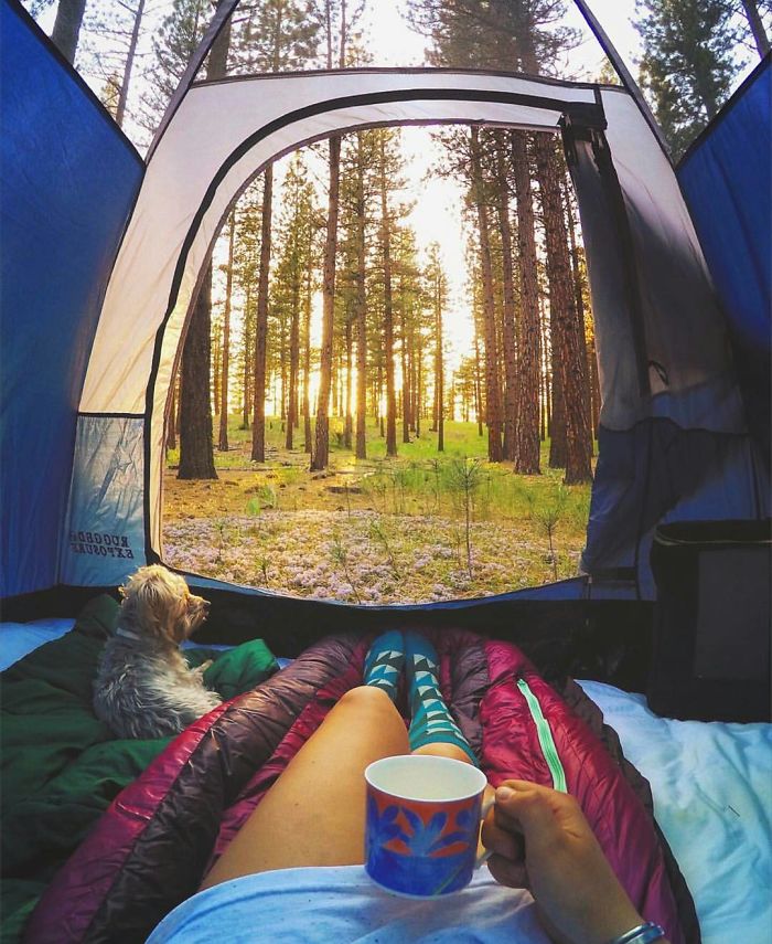 You Know What You Won't Find Here? Stress