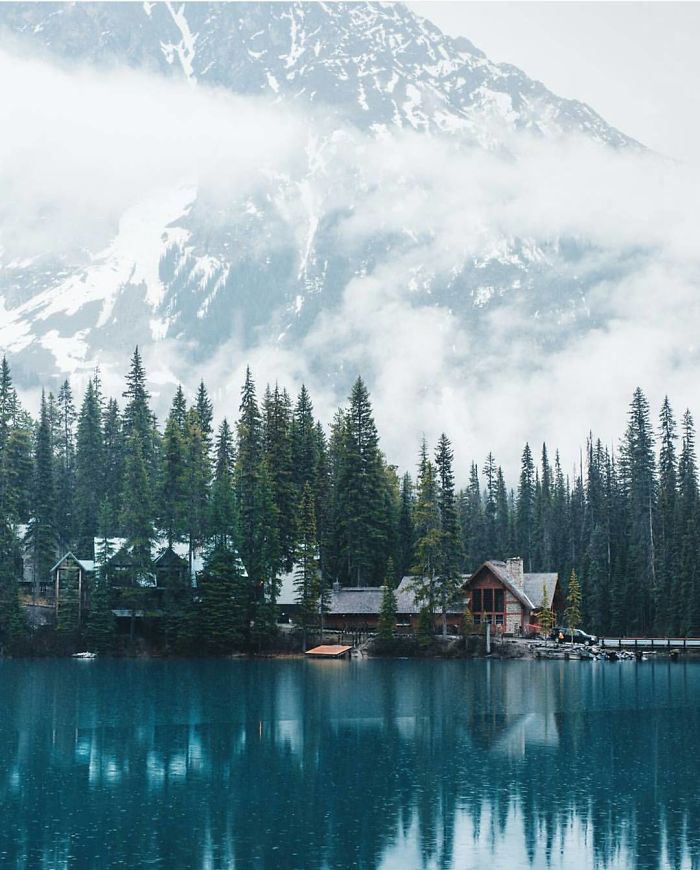 + Dog And You Have Everything To Live Happily