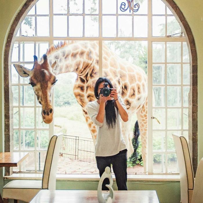 Classical Sunday Morning