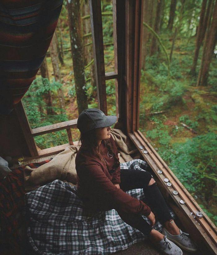 Abandoned Tree Houses