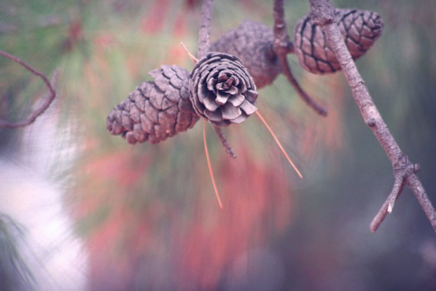 Magic Autumn In The Nature Magic Autumn In The Nature
