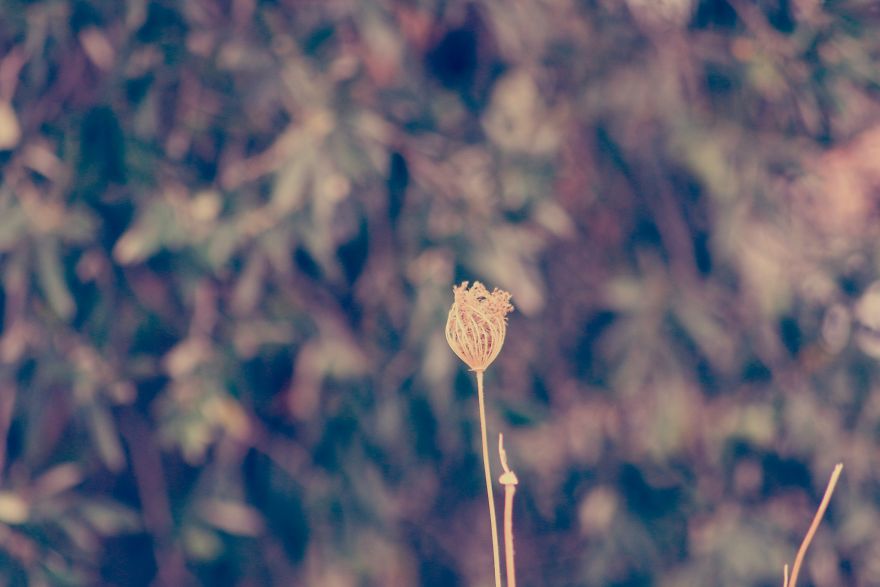 Magic Autumn In The Nature
