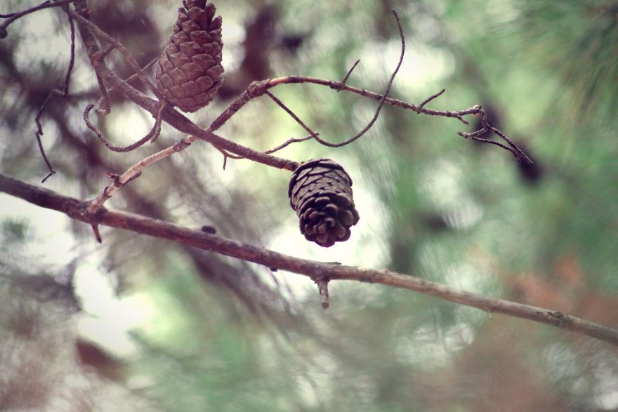 Magic Autumn In The Nature