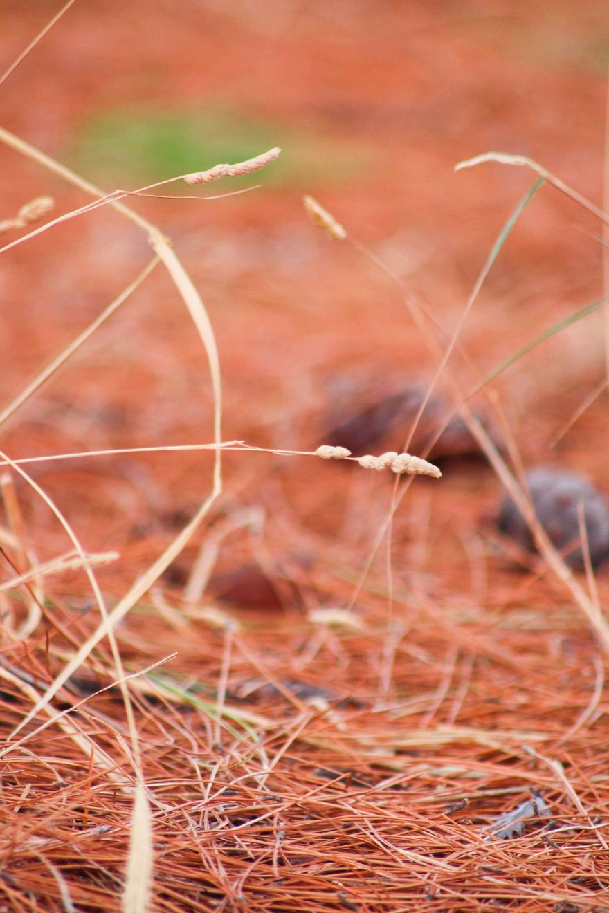 Magic Autumn In The Nature Magic Autumn In The Nature