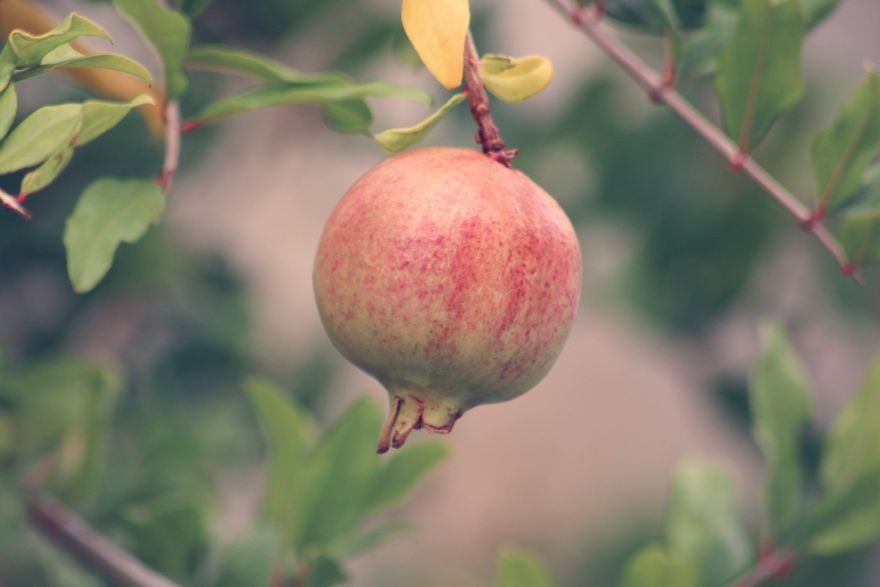 Magic Autumn In The Nature