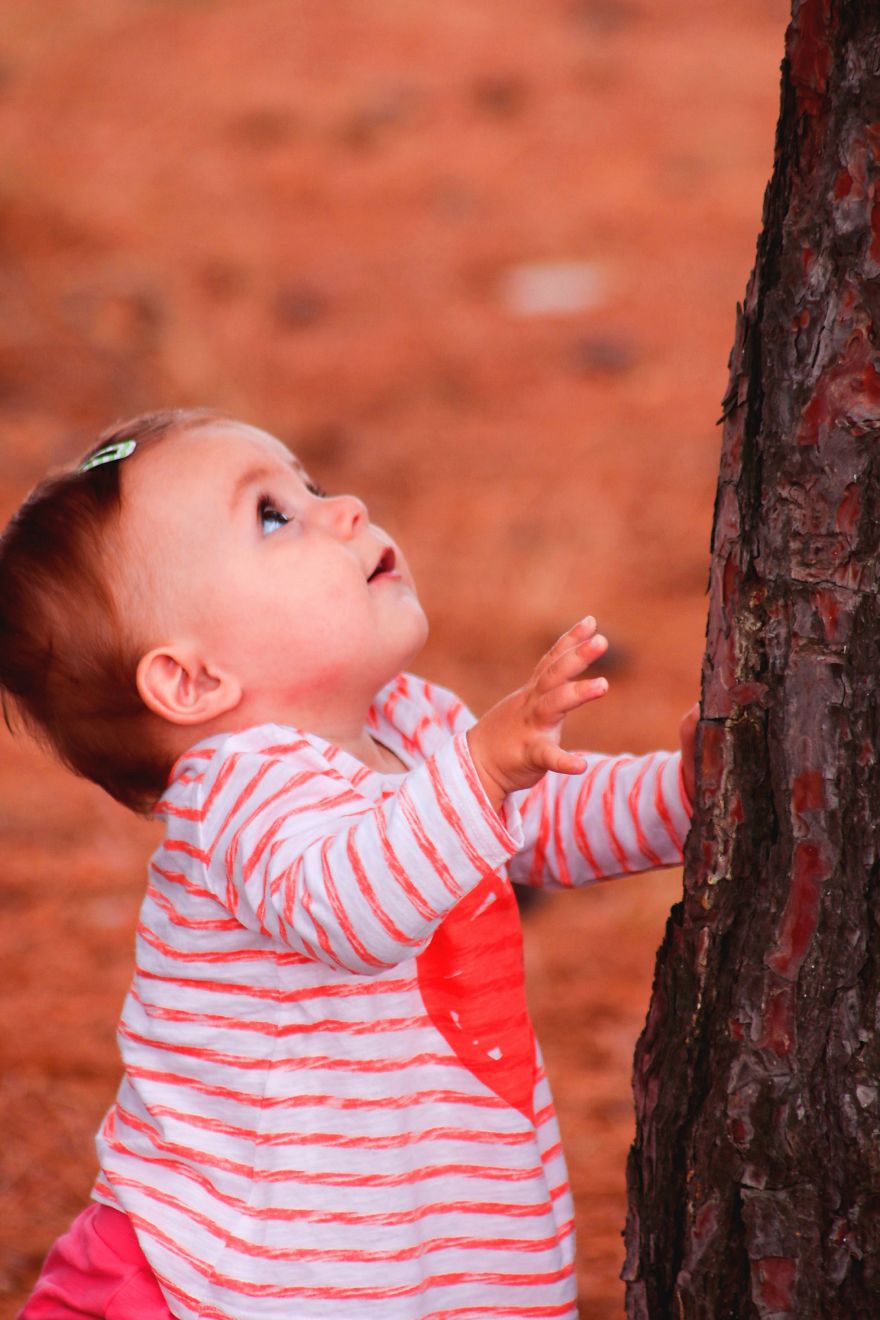 Magic Autumn In The Nature Magic Autumn In The Nature