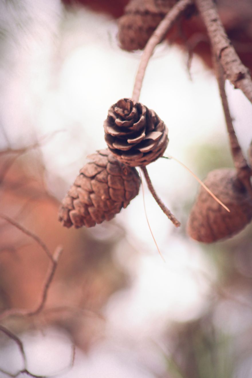 Magic Autumn In The Nature