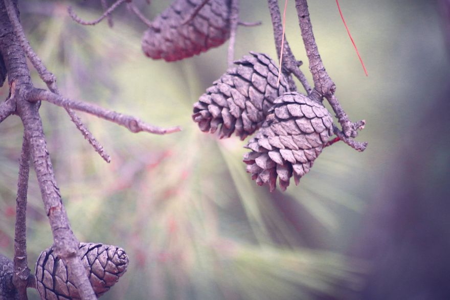 Magic Autumn In The Nature Magic Autumn In The Nature