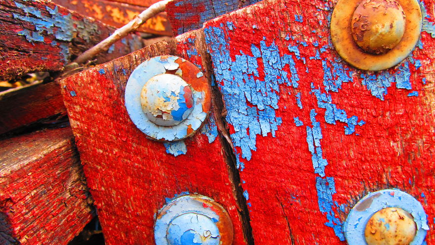 Walking In The Circus Wagon Graveyard