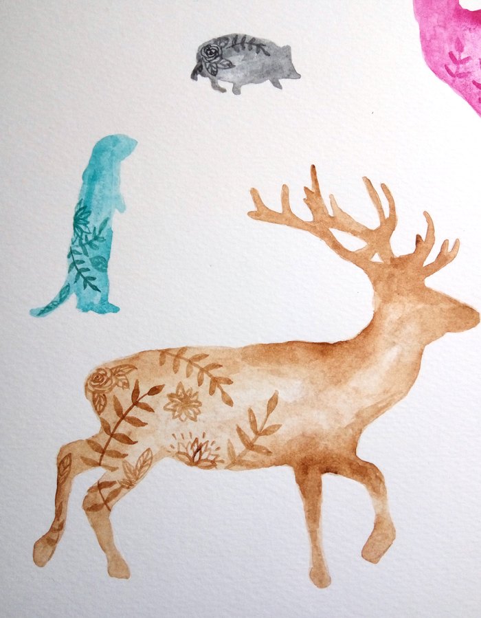Watercolor Animal Illustrations