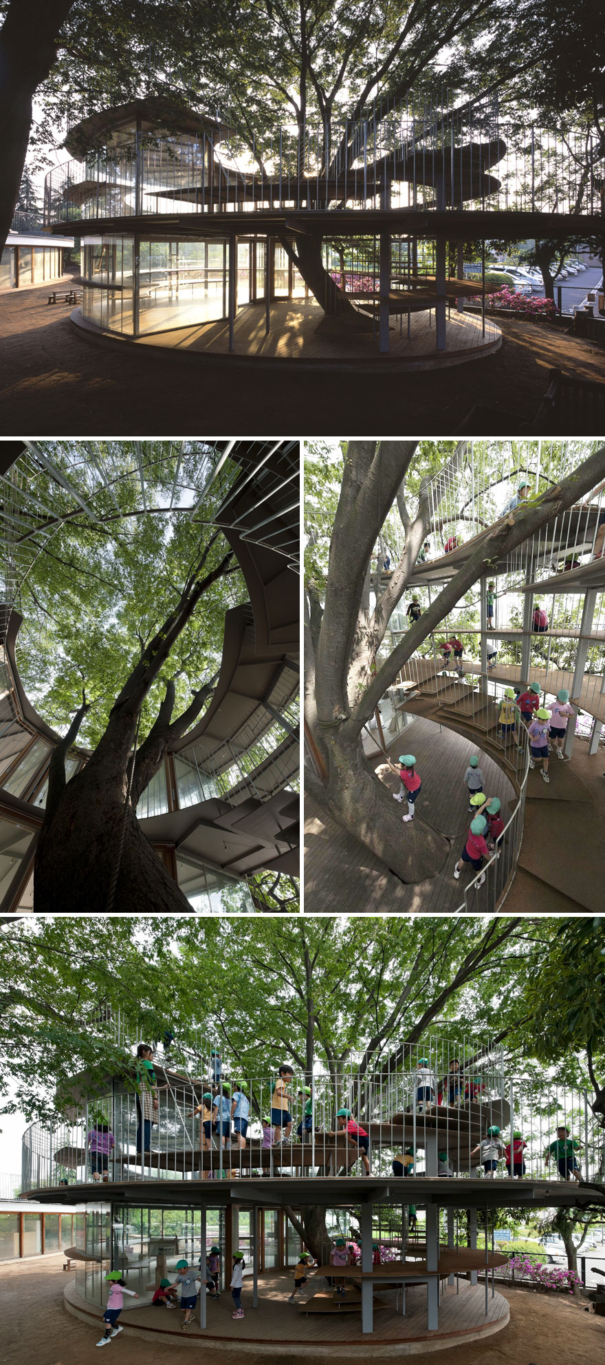 Japanese Kindergarten Built Around A Tree
