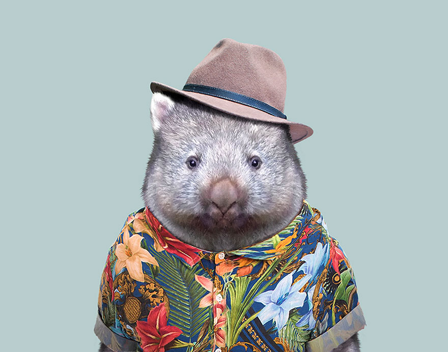 Wombat
