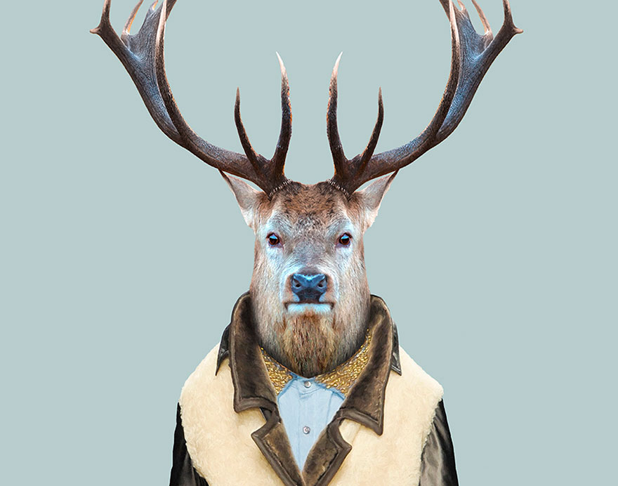 Elk