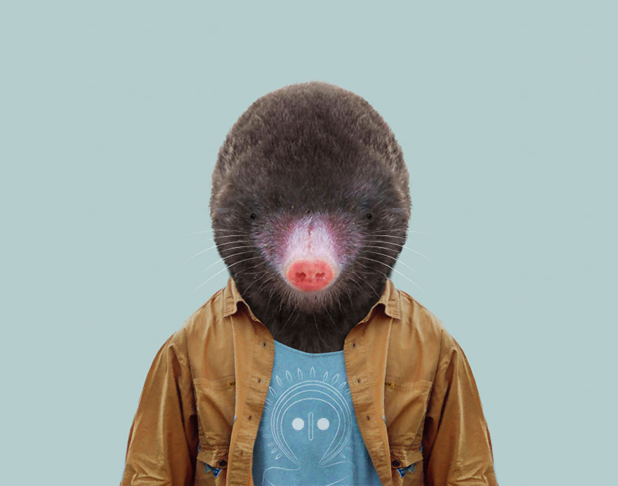 European Mole