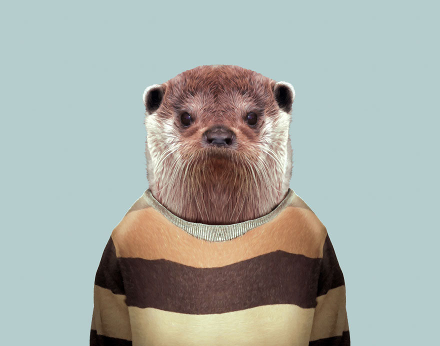 European Otter